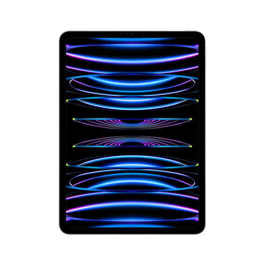 2022 11-inch iPad Pro Wi-Fi + Cellular 1TB - Silver (4th generation)