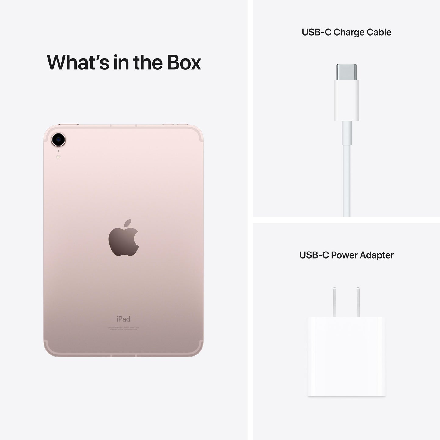 2021 iPad mini Wi-Fi + Cellular 256GB - Pink (6th generation)