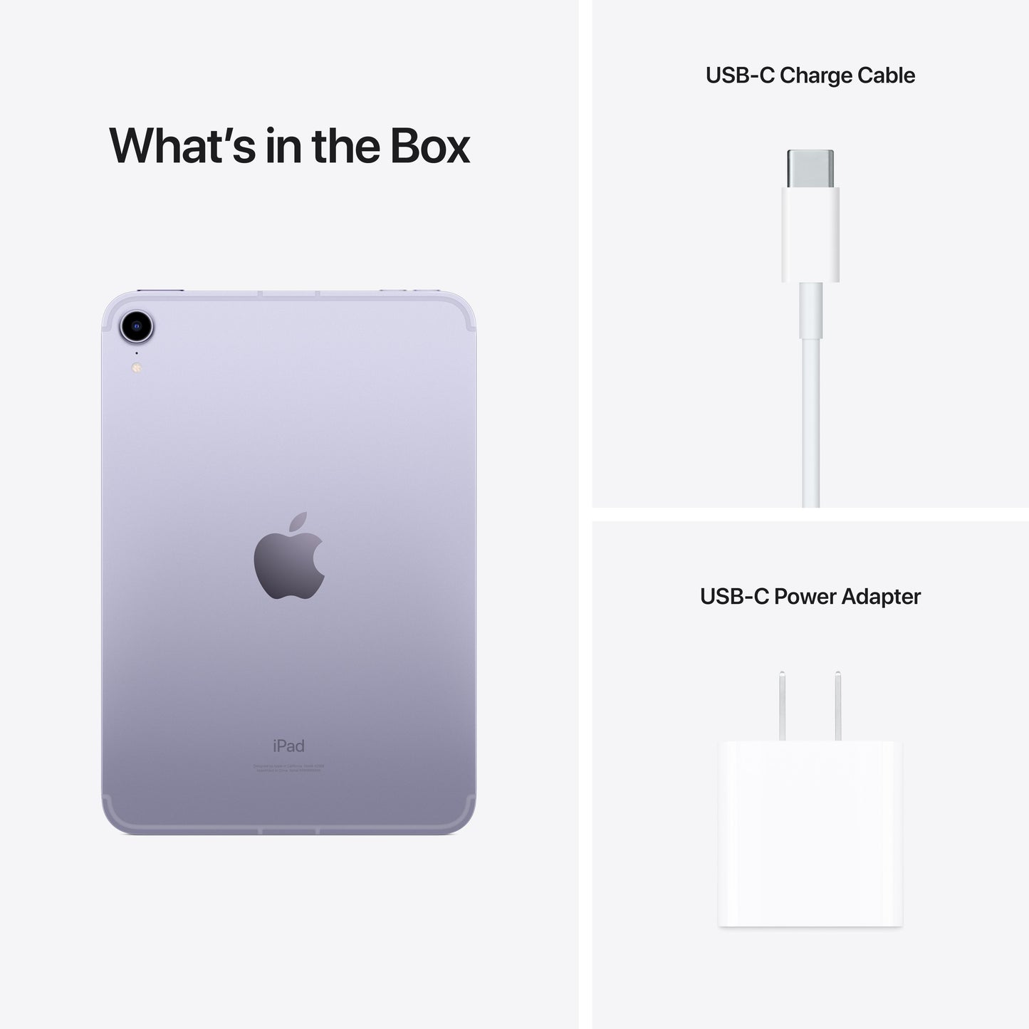 2021 iPad mini Wi-Fi + Cellular 64GB - Purple (6th generation)