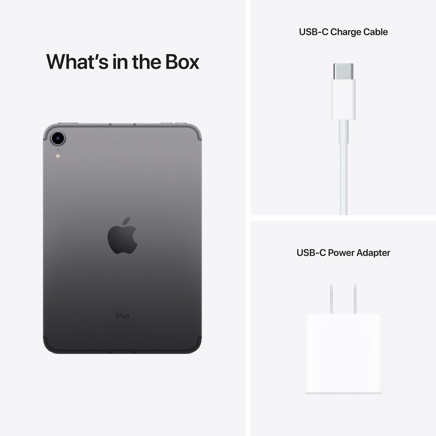 2021 iPad mini Wi-Fi + Cellular 256GB - Space Grey (6th generation)
