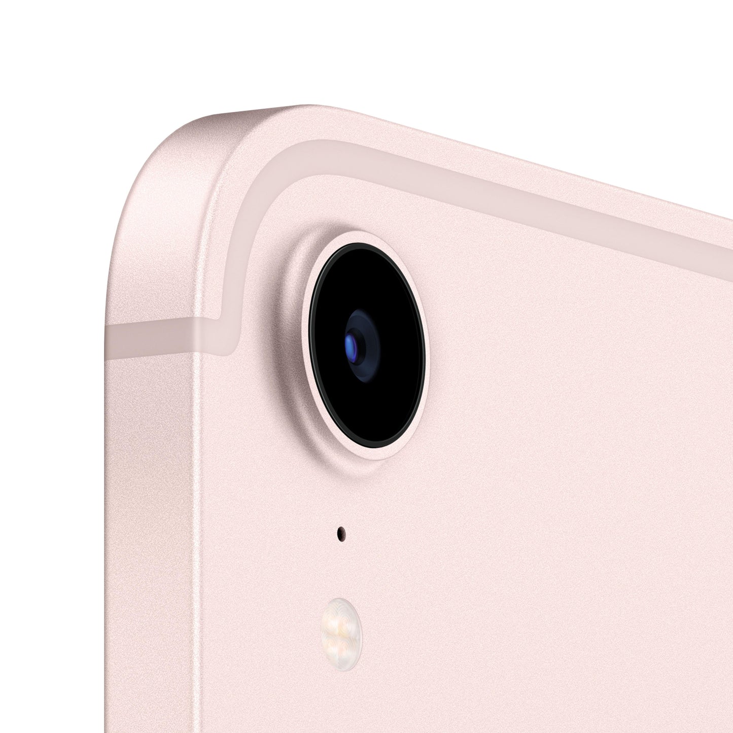 2021 iPad mini Wi-Fi 256GB - Pink (6th generation)