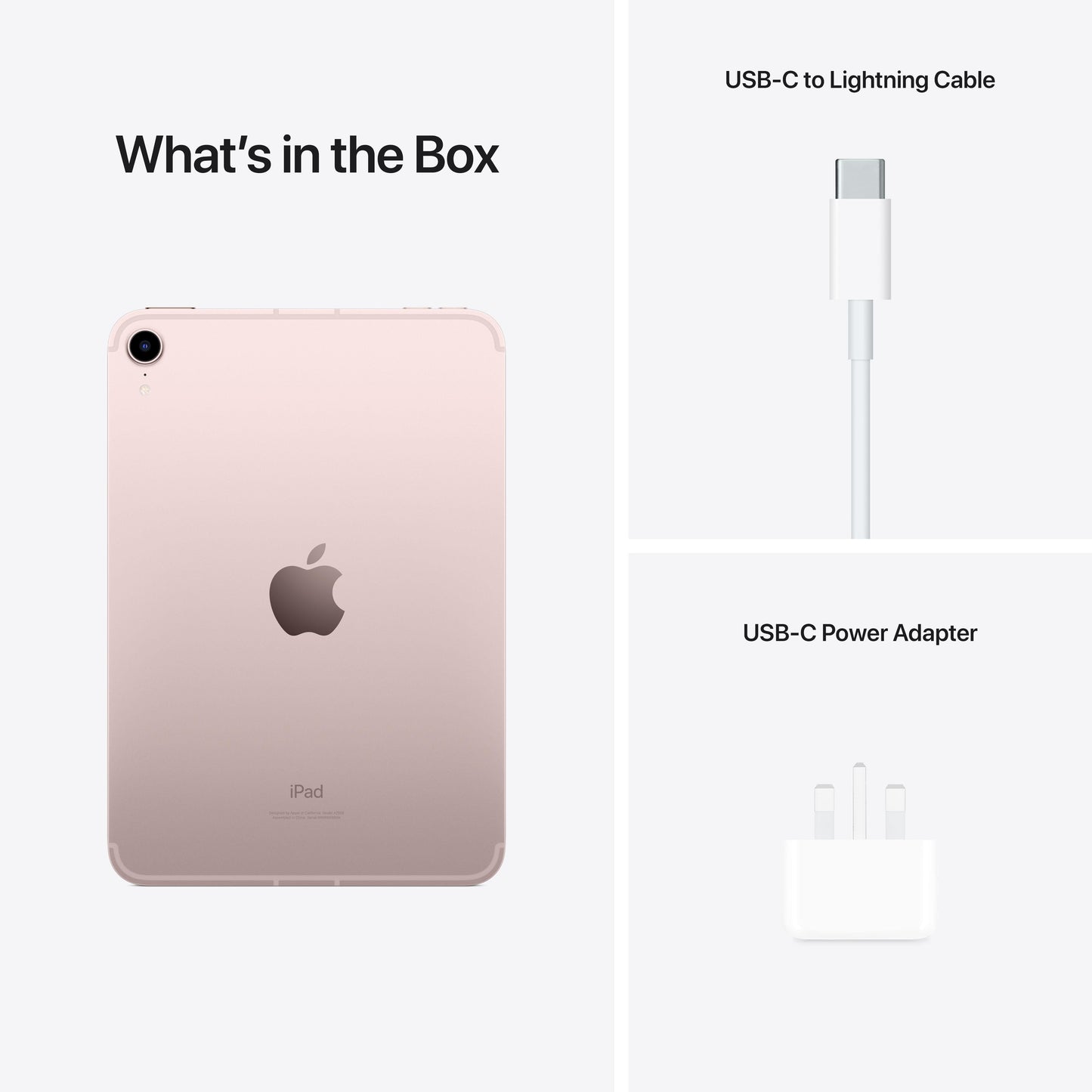2021 iPad mini Wi-Fi 256GB - Pink (6th generation)