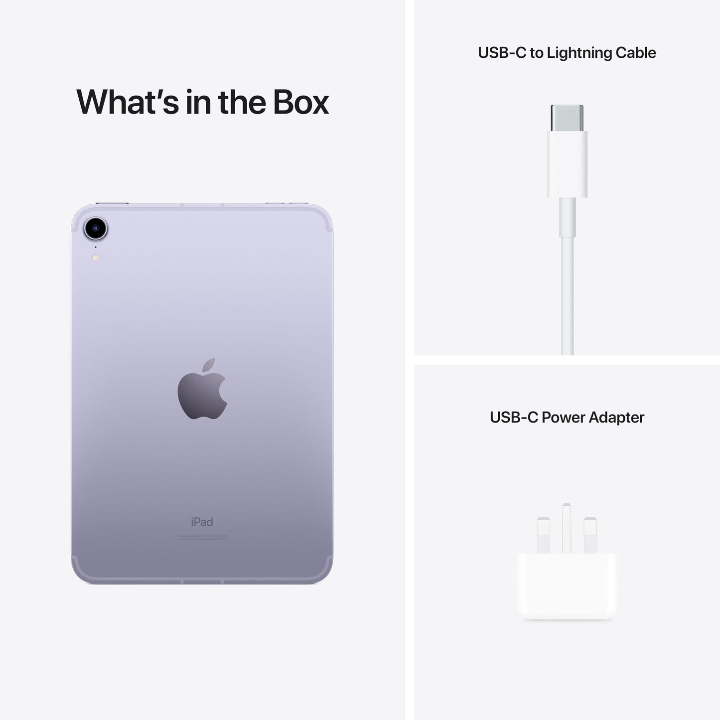 2021 iPad mini Wi-Fi + Cellular 64GB - Purple (6th generation)