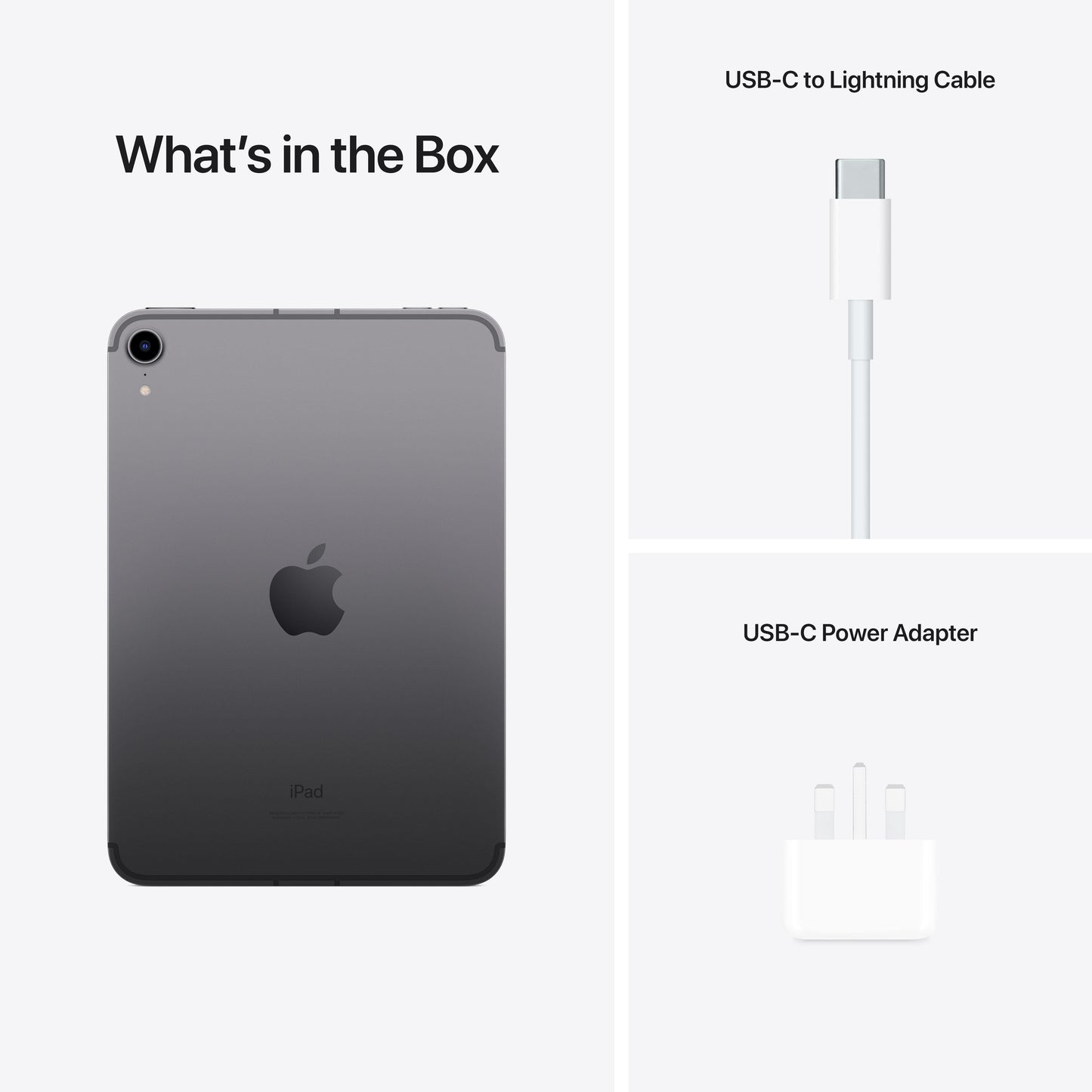 2021 iPad mini Wi-Fi + Cellular 256GB - Space Grey (6th generation)