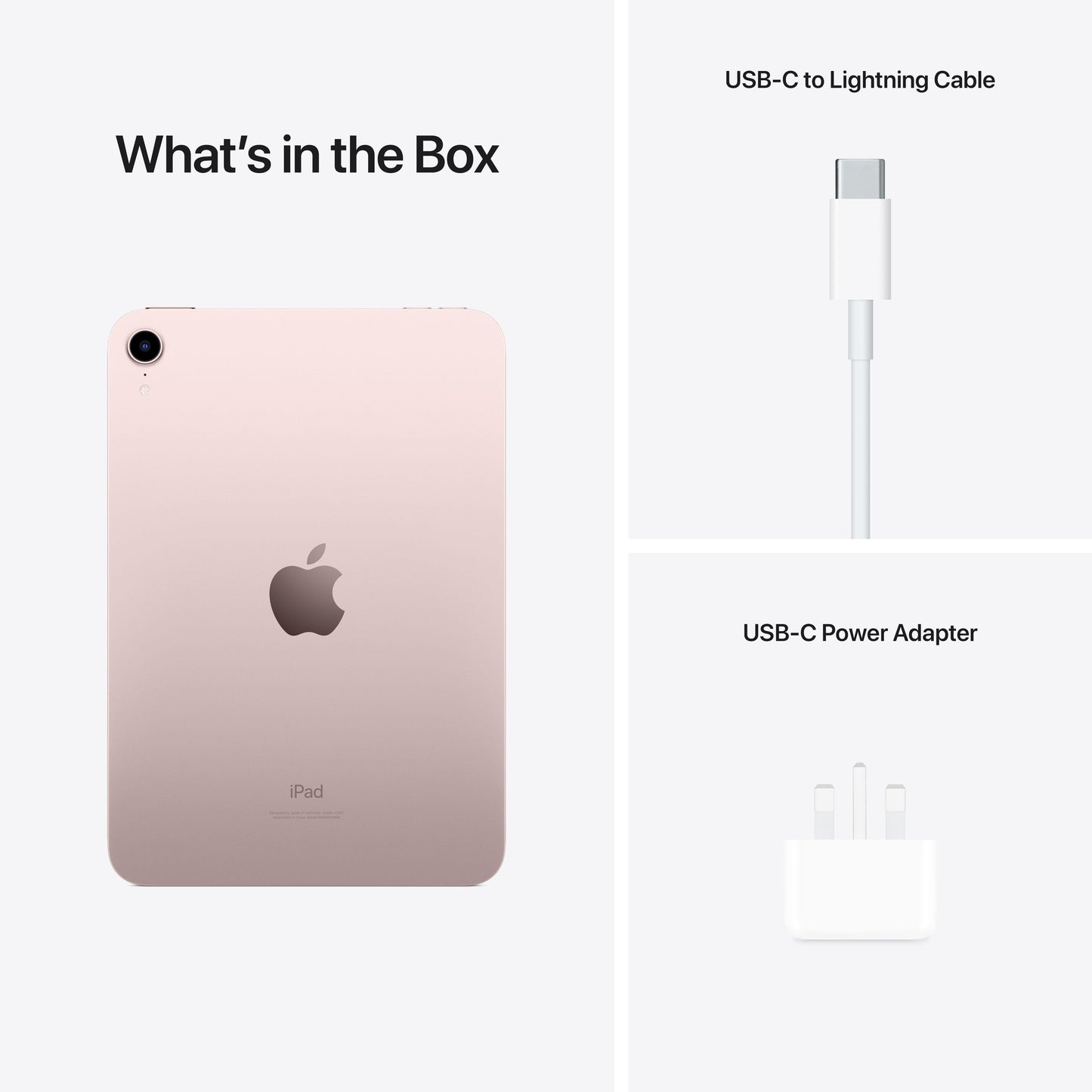 2021 iPad mini Wi-Fi + Cellular 256GB - Pink (6th generation)